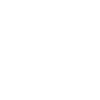 Bingham Law Group business planning icon white Contact Us