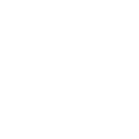 Bingham Law Group business structure icon white 404 Page Error
