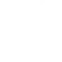 Bingham-Law-Group-business-planning-icon-white