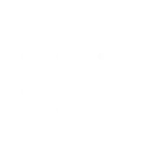Bingham-Law-Group-business-structure-icon-white