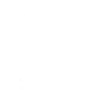 Bingham-Law-Group-tax-planning-icon-white